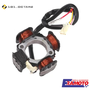STATORE MOTORE ALTERNATORE GENERATORE PER ATALA/RIZZATO AT10 AT12 Skeggia 50cc - Imagen 1 de 2