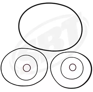 Kit de juntas tóricas Sea-Doo Head 1998 1999 2000 2001 2002 GTX RFI 1999 2000 GSX RFI - Imagen 1 de 5