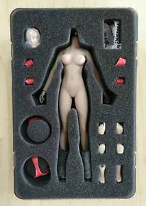 1/12 Female Suntan Skin 6" Figure Body with PHICEN Unpainted Head Sculpt Model - Picture 1 of 2