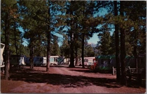FLAGSTAFF, Arizona Postkarte "KIT CARSON PARK" Camping / Highway ROUTE 66 - 1969 - Bild 1 von 2