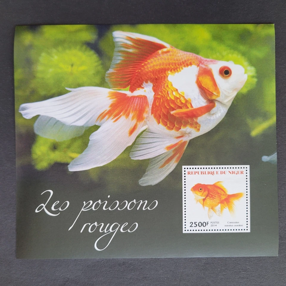 Niger 2014 / Marine Life - Goldfishes  /  1v ms - Image 1 of 1