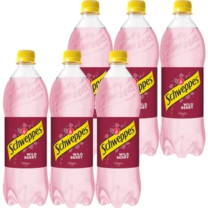  Schweppes Wild Berry Napój gazowany 1,35 l x 6 sztuk ZESTAWY - Picture 1 of 1