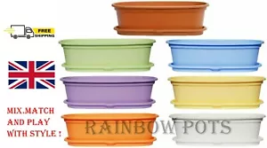 Plastic Plant Pots,Pots,Oval, ,Planters with Saucer,Tray, Cactus - Picture 1 of 8
