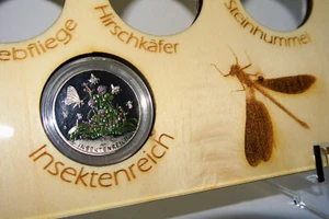 Acrylglas u. Holz Aufsteller für 5 Euro Münzen Wunderwelt Insekten Münzrahmen - Bild 1 von 8