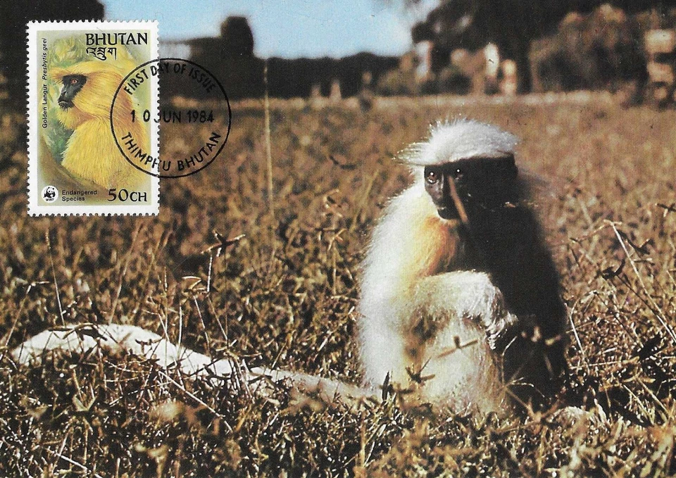 Golden Langur Monkey Presbytis Geei Endangered Species Bhutan FDC Card 1984 - Image 1 of 1