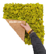 Panneaux De Lichen Stabilisé 50x50 CM Citron Vert Green Scandinave Nordique