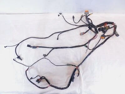 Harley Davidson Softail Heritage Classic y Fat Boy 2003 arnés de cableado principal Foto 1 de 4