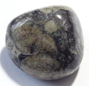 QUE SERA STONE TUMBLESTONE - Llanite - 2.4 x 2.3 cms 15.48 gms #12 - Bild 1 von 4