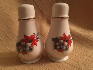 Original Bone China Stechpalme Weihnachten Solt und Pfefferstreuer Set. - Bild 1 von 4