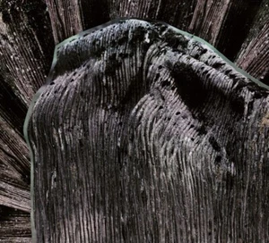 FLESHPRESS: Viimeinen Saavutettu Tahto CD Sludge Doom Metal FIN Buzzoven Grief - Bild 1 von 1