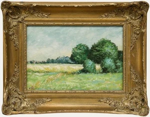 Erwin Steinhauser (1939-2023) - Prato estivo acrilico del XX secolo - Foto 1 di 6