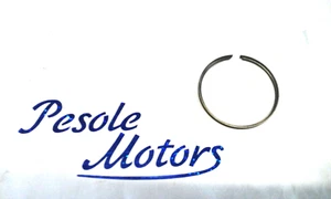 Segmenti Fascia ACL  elastiche pistone 49 X 2   pesioleshoop - Picture 1 of 1