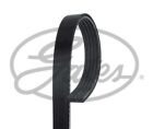 Gates Micro-V Drive Belt For Daewoo Lanos A16dms 1.6 April 2001 To May 2005