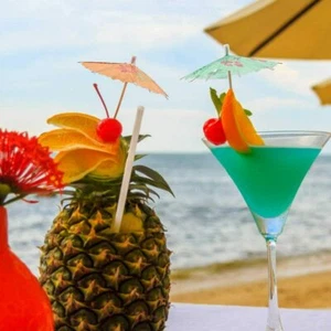 12 Hawaii Party Cocktail Regenschirme verschiedene Farben & Muster Neu im Paket - Bild 1 von 8