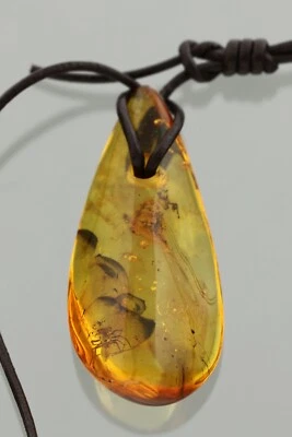 JUMPING SPIDER 正品波罗的海琥珀可调节皮革吊坠 5.1 克 230525-15 — 第 1/4 张图片