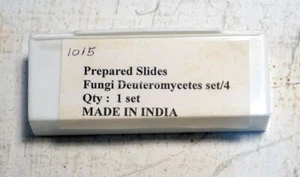 Prepared Microscope Slide Set, Fungi Deutereromycetes, 4 Slides, New! - Picture 1 of 1