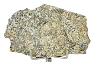 13,18 g Eucrite fetta non brecciata I HED Acondrite I NWA 12932 METEORITE SUPERIORE - Foto 1 di 4