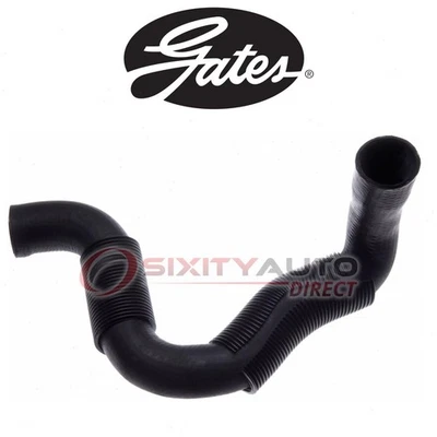 Gates Lower Radiator Coolant Hose for 1991-1995 Chevrolet K1500 5.7L 5.0L V8 wf - Imagem 1 de 4