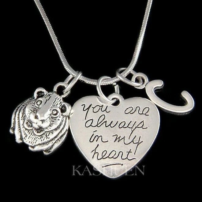 ~Guinea Pig Heart Memorial Memory Love Pet Loss Sympathy Keychain Charm Necklace Foto 1 de 1