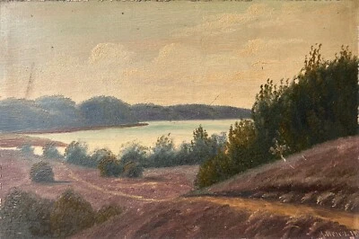 Dipinto A Olio 1918 Paesaggio Con Riva Del Lago 31,5 X 46,5 Cm M. Olesen Firmato - Bild 1 von 4