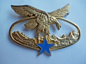 TROPA DEL EJÉRCITO FRANCÉS DE MONTAÑA GRADO DORADO. - Imagen 1 de 2