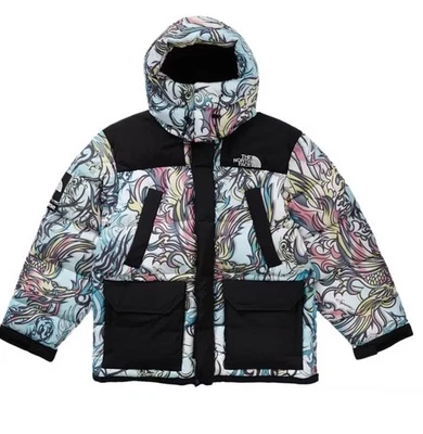 supreme the north face 700 fill down jacket - multicolor dragon - Image 1 of 3