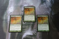 MTG - 3 x Raking Canopy - NM Condition - Shadowmoor