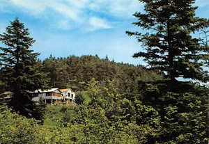 22-66A) GOLA DI GOUTA ALTA VAL NERVIA PIGNA BAR RISTORANTE IMPERIA - Imagen 1 de 2