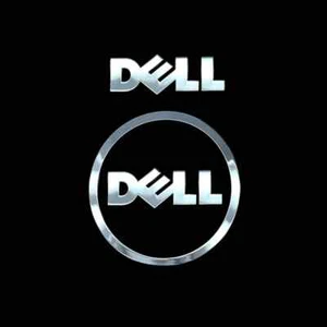 DELL Silver Metal Logo Sticker For Laptop PC Tablet Desktop Computer Digital - Picture 1 of 12