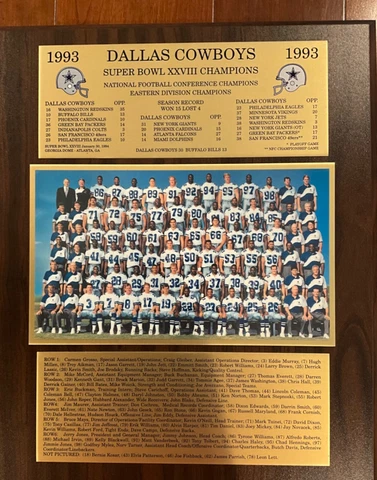 Dallas Cowboys 1993 Team Plaque Cover