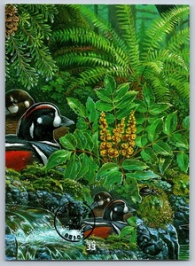#3378a Pacific Coast Rain Forest Harlequin Duck FDC Maxi Card - Picture 1 of 2