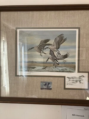 1979 MISSOURI -  REMARQUE State Duck Stamp Print **CHARLES SCHWARTZ w/stamp - Image 1 of 3