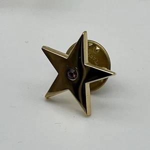 Lote de 10 prendedores estrella con piedra sintética - Imagen 1 de 4