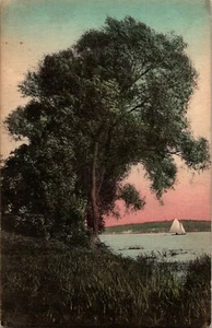 Landscape Tree River Sailboat Vintage Postcard  - Picture 1 of 2