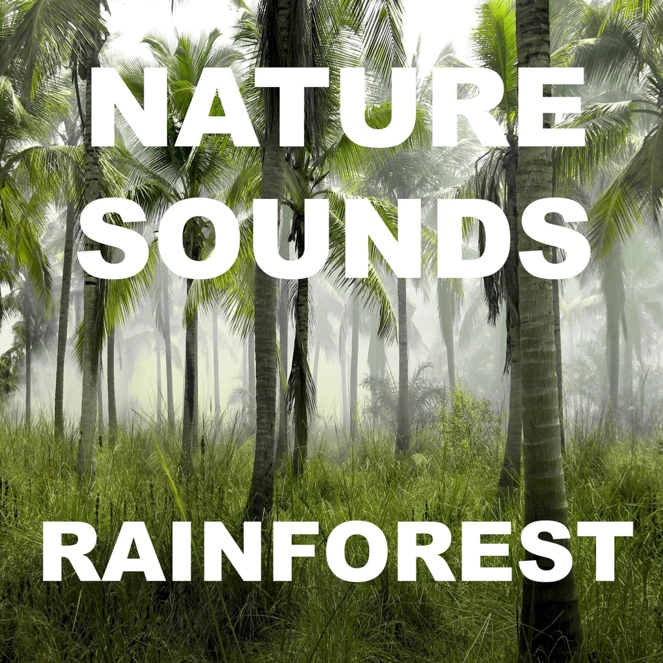 Nature Sounds CD – Rainforest & Jungle Audio Experience | Ambient Nature Sounds - Image 1 of 1