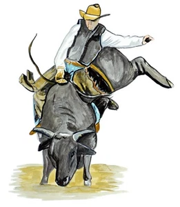Bull Rider Country Cowboy Rodeo Vinyl Decal Sticker - Auto Car Truck RV Cup Boat - Picture 1 of 1