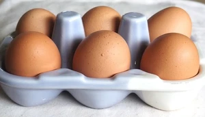 Ceramic Egg Holder / Colourful Ceramic Egg Holder - Home Kitchen Egg Storage. - Picture 1 of 8