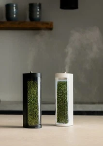 Moss Air - Add Calm with Living Moss Purifier And Humidifier - ‼️ 💷 £5.00 off - Picture 1 of 7