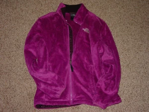 2012 Womens North Face Osito 2 AAHY Silken Purple Fleece Jacket! Size L - Picture 1 of 11