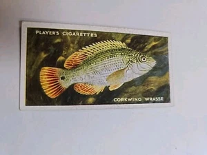 Cigarette card John Players - sea fishes - No 30 - free postage - lot 831 - Picture 1 of 2
