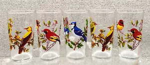 Vintage birds 5 Glass Set By Luminary Glassware - Picture 1 of 9