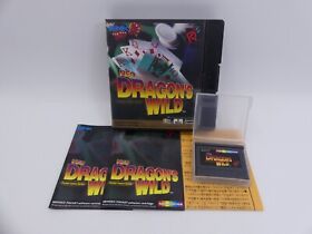 Neo Geo Pocket - Neo - Dragon's Wild - PAL