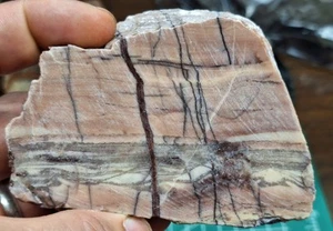 Kona Dolomit - Fossiler Stromatolith (Blaualge) - Lake Superior Michigan - Bild 1 von 4