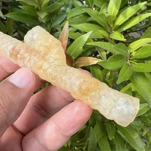 22Gr Beautifull Branched Stalactite Cluster Chalcedony polished Indonesia - Picture 1 of 13