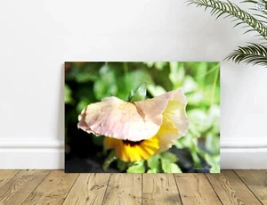 Yellow Poppy Flower Raindrop Home Decor, Wall Art, Bathroom Bedroom Photography - Picture 1 of 3