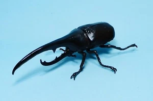 Bandai Diversity of Life Gashapon Black Hercules Beetle figure venditore USA nuovo - Foto 1 di 4