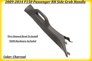 F150 a-pillar interior trim grab handle passenger RH Side Charcoal 2009-2014 - Bild 1 von 17