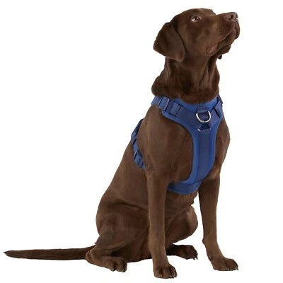 TOP PAW Royal Blue Neoprene Padded Harness Small Boston, Shih Tzu, Pug, Mini Dac - Image 1 of 4