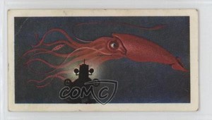 1974 Brooke Bond The Sea: Our Other World Tea Giants of the Deep #47 2p7