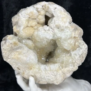 Racimo de cristal de cuarzo botrioidal geoda grande de 6-1/4” hierro natural citrino 5,6 lb - Imagen 1 de 12